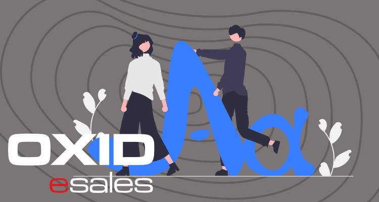Achtung Abmahngefahr in OXID eShop: Google Fonts